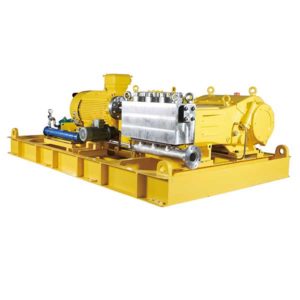 Poweroyal® Positive-Displacement Reciprocating Pump