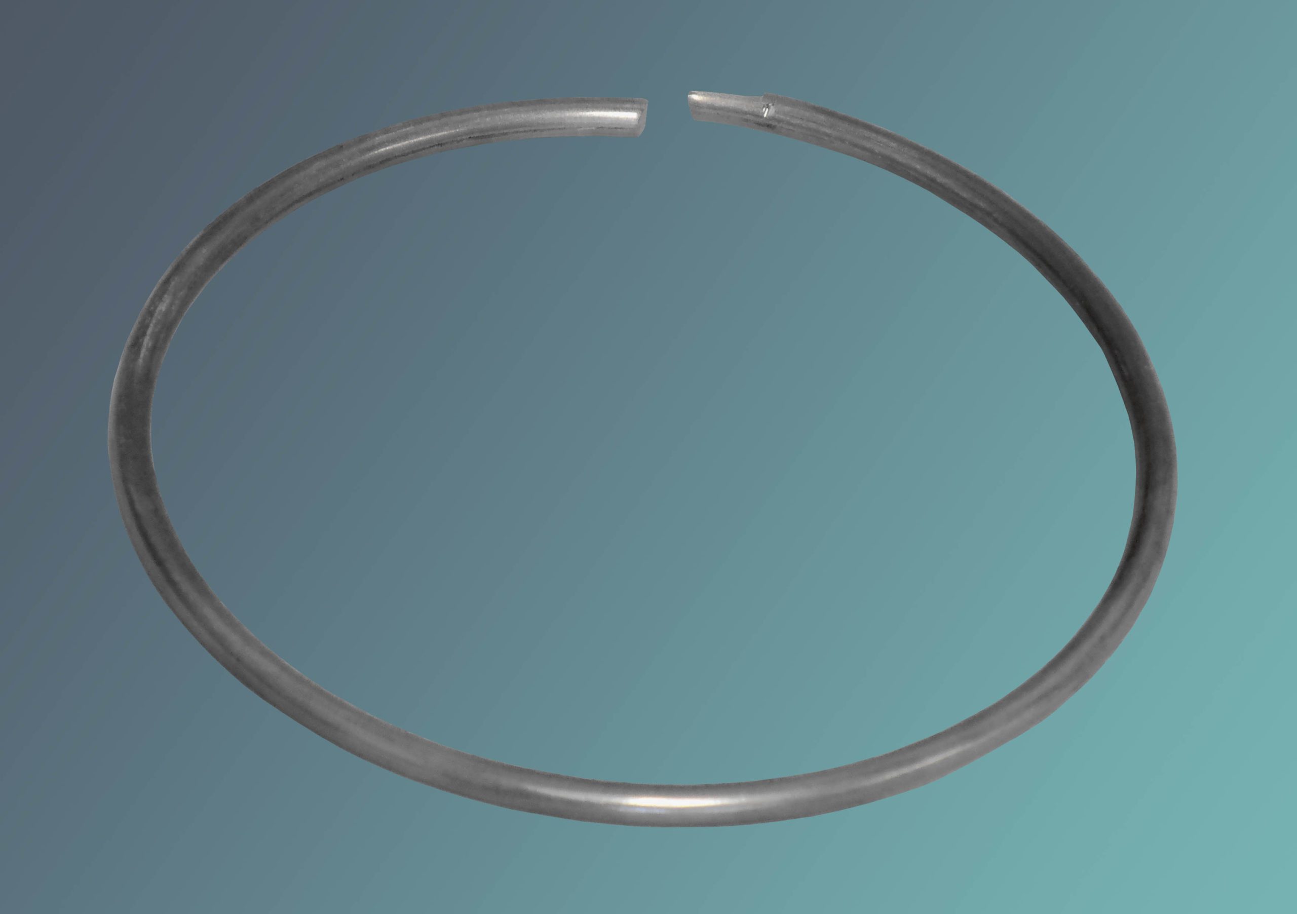 Bladder Accumulator